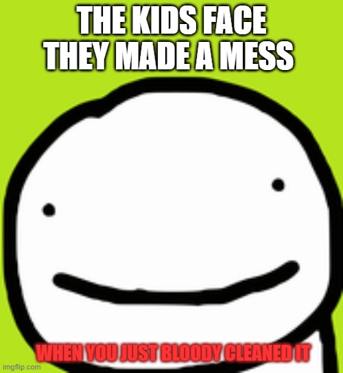 the face of hElp |  THE KIDS FACE THEY MADE A MESS; WHEN YOU JUST BLOODY CLEANED IT | image tagged in mess,dream | made w/ Imgflip meme maker