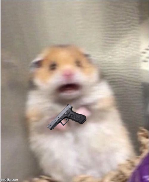 Scared Hamster | image tagged in scared hamster | made w/ Imgflip meme maker