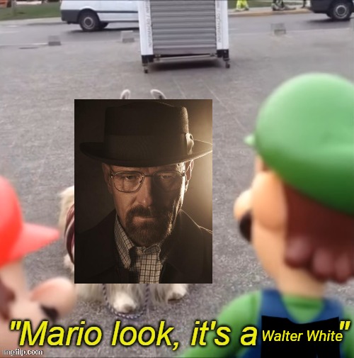 "Mario look, it's a cow!" | Walter White | image tagged in mario look it's a cow | made w/ Imgflip meme maker