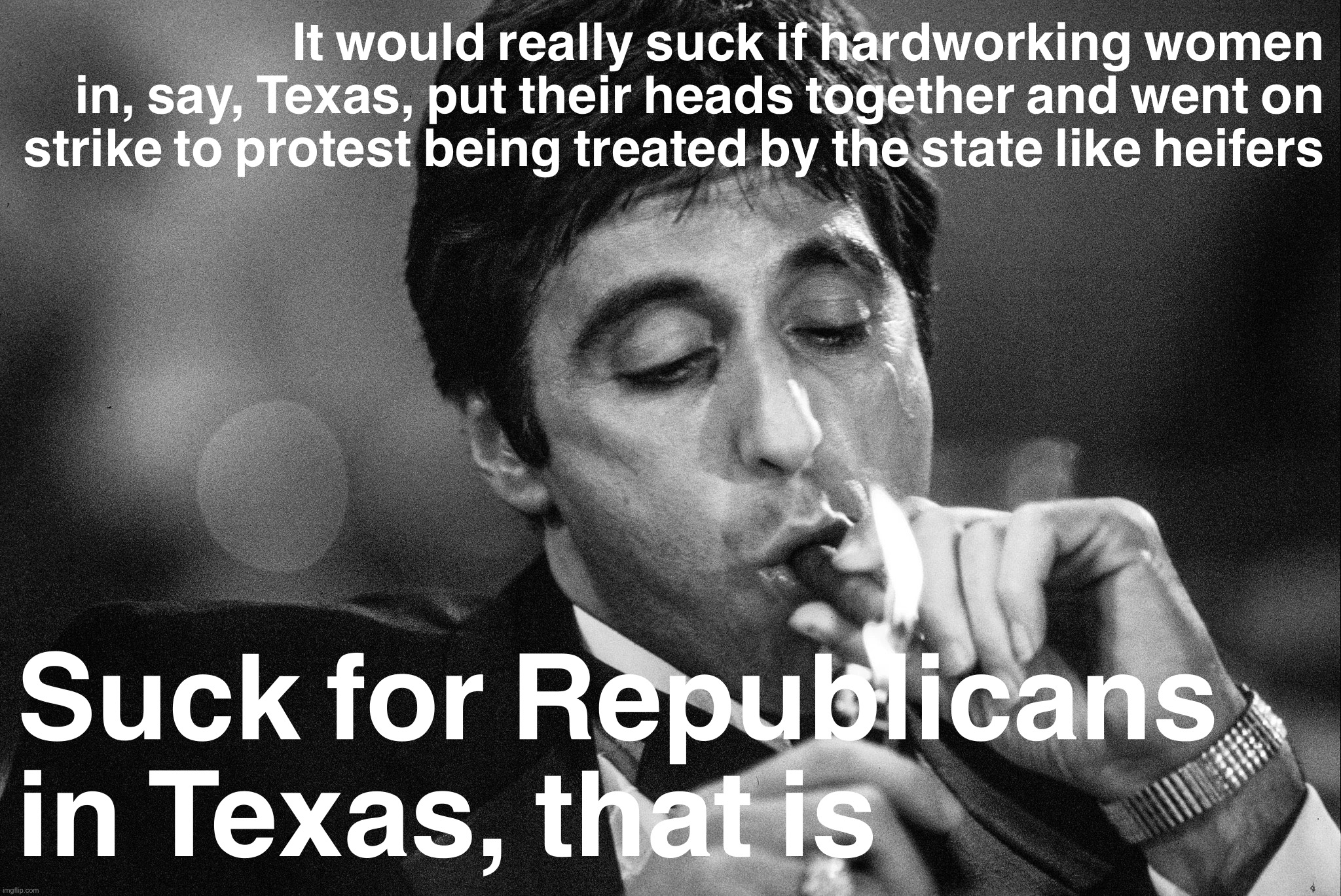 I hear there’s a labor shortage. A general strike right now would be really bad timing! | It would really suck if hardworking women in, say, Texas, put their heads together and went on strike to protest being treated by the state like heifers; Suck for Republicans in Texas, that is | image tagged in labor,abortion,womens rights,women rights,strike,texas | made w/ Imgflip meme maker