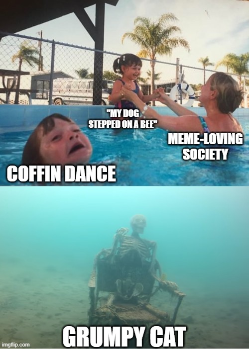 Some memes are dying, some are rising. | "MY DOG STEPPED ON A BEE"; MEME-LOVING SOCIETY; COFFIN DANCE; GRUMPY CAT | image tagged in swimming pool kids | made w/ Imgflip meme maker