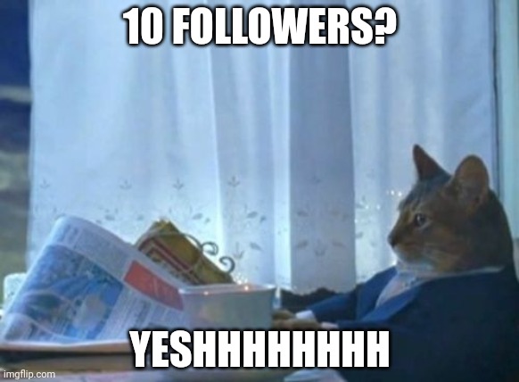 I Should Buy A Boat Cat | 10 FOLLOWERS? YESHHHHHHHH | image tagged in memes | made w/ Imgflip meme maker