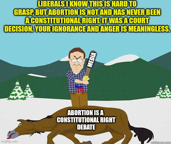 Liberals are confused about the constitution? What else is new? They can't explain what a woman is either! | LIBERALS I KNOW THIS IS HARD TO GRASP, BUT ABORTION IS NOT AND HAS NEVER BEEN A CONSTITUTIONAL RIGHT. IT WAS A COURT DECISION. YOUR IGNORANCE AND ANGER IS MEANINGLESS. MEDIA; ABORTION IS A 
CONSTITUTIONAL RIGHT
DEBATE | image tagged in dead horse south park,women,abortion,constitution,misinformation,biased media | made w/ Imgflip meme maker