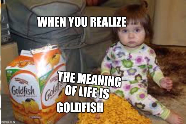 WHEN YOU REALIZE; THE MEANING OF LIFE IS; GOLDFISH | image tagged in baby,food,funny food | made w/ Imgflip meme maker