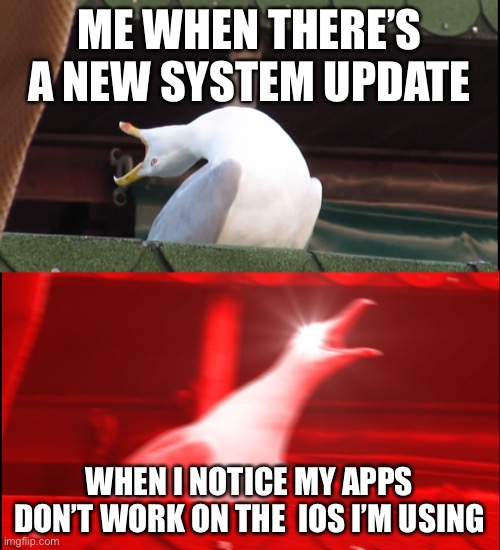 Not the update! | ME WHEN THERE’S A NEW SYSTEM UPDATE; WHEN I NOTICE MY APPS DON’T WORK ON THE  IOS I’M USING | image tagged in screaming bird | made w/ Imgflip meme maker