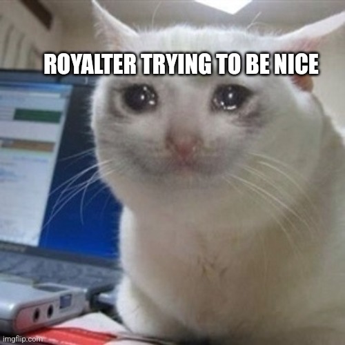 Crying cat | ROYALTER TRYING TO BE NICE | image tagged in crying cat | made w/ Imgflip meme maker