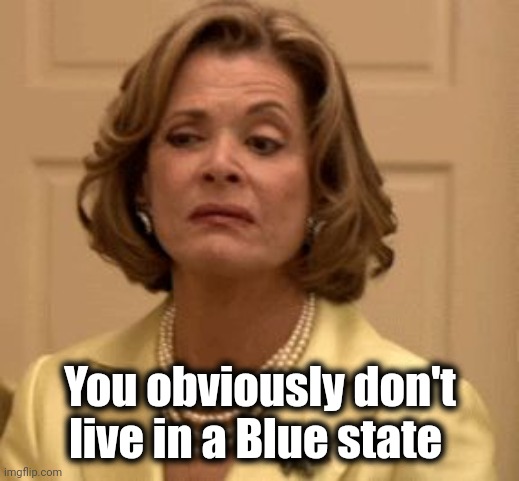 disdain | You obviously don't live in a Blue state | image tagged in disdain | made w/ Imgflip meme maker
