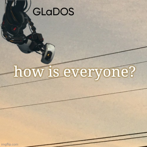 how is everyone? | image tagged in template | made w/ Imgflip meme maker