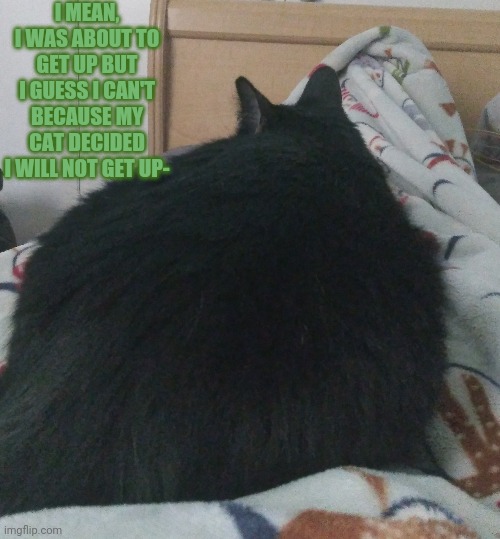 Help-- | I MEAN, I WAS ABOUT TO GET UP BUT I GUESS I CAN'T BECAUSE MY CAT DECIDED I WILL NOT GET UP- | image tagged in cat is laying on my legs- | made w/ Imgflip meme maker