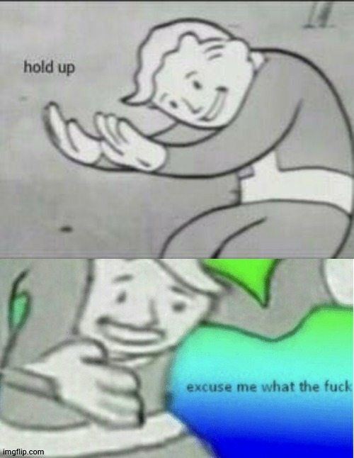 hold up (full) | image tagged in hold up excuse me wtf | made w/ Imgflip meme maker