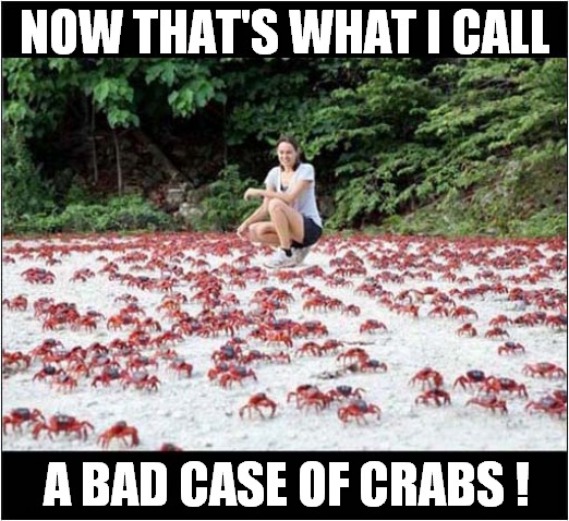 Why Is She Smiling ? | NOW THAT'S WHAT I CALL; A BAD CASE OF CRABS ! | image tagged in now thats what i call,crabs,visual pun,dark humour | made w/ Imgflip meme maker
