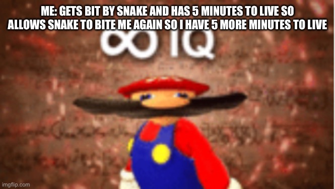 Infinite iq | ME: GETS BIT BY SNAKE AND HAS 5 MINUTES TO LIVE SO ALLOWS SNAKE TO BITE ME AGAIN SO I HAVE 5 MORE MINUTES TO LIVE | image tagged in infinite iq | made w/ Imgflip meme maker