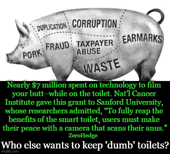 "Anus Scanning Camera": Just How Much Federal Pork & Waste Are Your Tax Dollars Funding? | Nearly $7 million spent on technology to film 
your butt–while on the toilet. Nat'l Cancer 
Institute gave this grant to Sanford University, 
whose researchers admitted, “To fully reap the 
benefits of the smart toilet, users must make 
their peace with a camera that scans their anus.”; ZeroHedge; Who else wants to keep 'dumb' toilets? | image tagged in politics,taxpayer,waste,stop the insanity,common sense,not common core | made w/ Imgflip meme maker