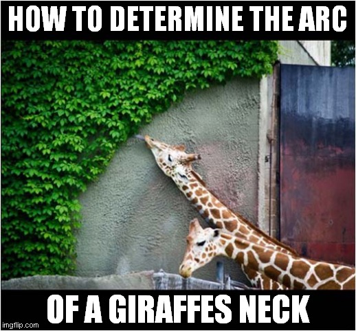 Animal Geometry ? | HOW TO DETERMINE THE ARC; OF A GIRAFFES NECK | image tagged in fun,geometry,arc,giraffe | made w/ Imgflip meme maker