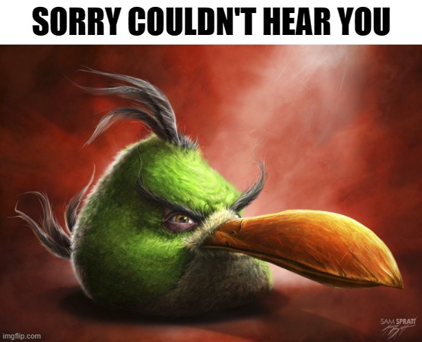 SORRY COULDN'T HEAR YOU | made w/ Imgflip meme maker