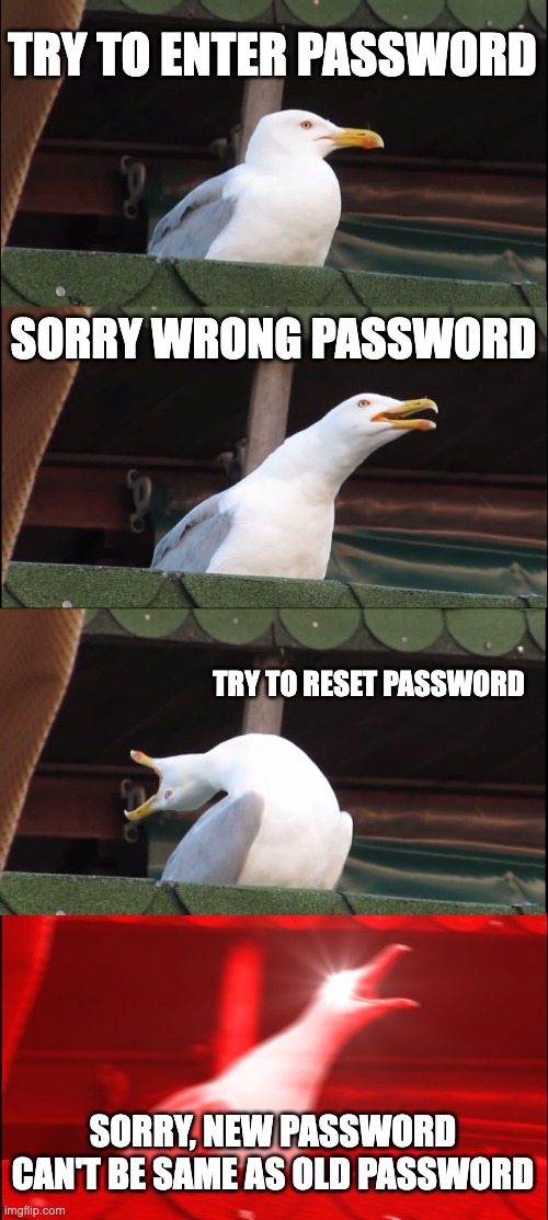 Inhaling Seagull | TRY TO ENTER PASSWORD; SORRY WRONG PASSWORD; TRY TO RESET PASSWORD; SORRY, NEW PASSWORD CAN'T BE SAME AS OLD PASSWORD | image tagged in memes,inhaling seagull | made w/ Imgflip meme maker