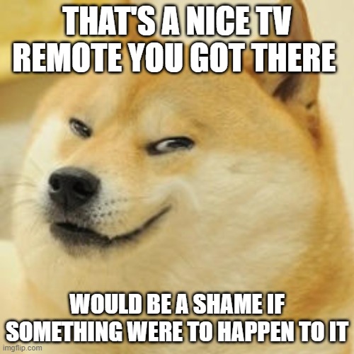 evil doge | THAT'S A NICE TV REMOTE YOU GOT THERE; WOULD BE A SHAME IF SOMETHING WERE TO HAPPEN TO IT | image tagged in evil doge | made w/ Imgflip meme maker