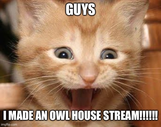 Link in comments! | GUYS; I MADE AN OWL HOUSE STREAM!!!!!! | image tagged in memes,excited cat | made w/ Imgflip meme maker