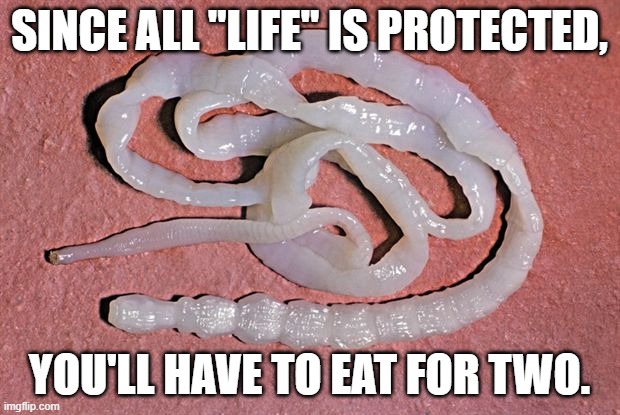 Roe v wade, eat for two | SINCE ALL "LIFE" IS PROTECTED, YOU'LL HAVE TO EAT FOR TWO. | image tagged in tapeworm | made w/ Imgflip meme maker