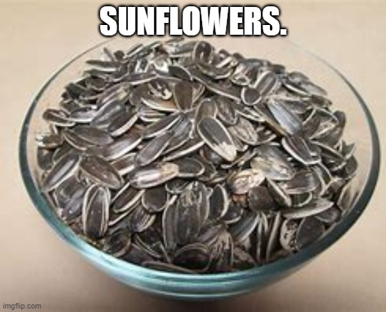 SUNFLOWERS. | made w/ Imgflip meme maker