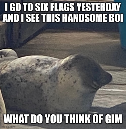 I GO TO SIX FLAGS YESTERDAY AND I SEE THIS HANDSOME BOI; WHAT DO YOU THINK OF HIM | made w/ Imgflip meme maker