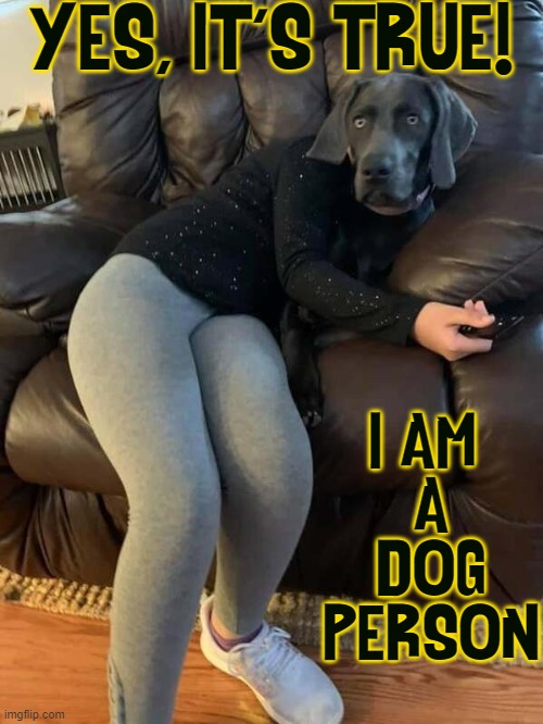 I Don't Think This is What She Meant! | YES, IT'S TRUE! I AM 
A
DOG
PERSON | image tagged in vince vance,cat person,dog person,memes,dogs,watching television | made w/ Imgflip meme maker