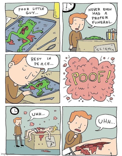 Prince and the frog | image tagged in frog,comics | made w/ Imgflip meme maker