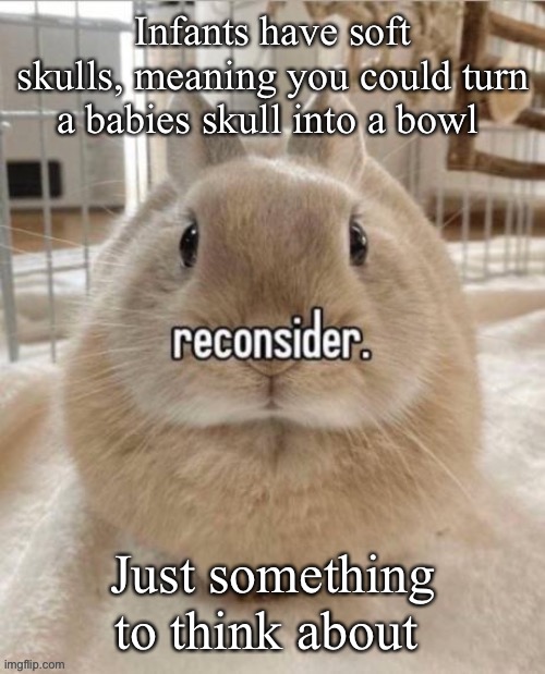 reconsider | Infants have soft skulls, meaning you could turn a babies skull into a bowl; Just something to think about | image tagged in reconsider | made w/ Imgflip meme maker