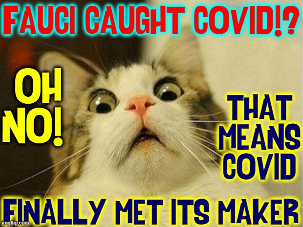 OMG! |  FAUCI CAUGHT COVID!? OH NO! THAT
MEANS
COVID; FINALLY MET ITS MAKER | image tagged in memes,scared cat,cats,covid-19,dr fauci,vince vance | made w/ Imgflip meme maker