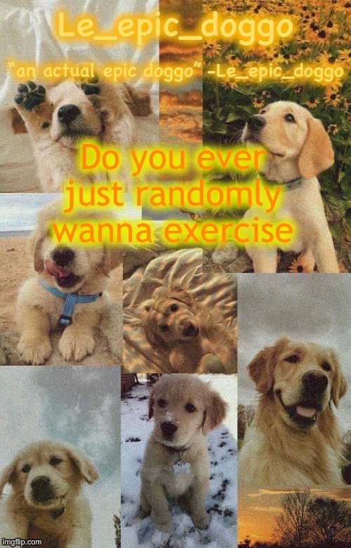 Doggo temp by doggo. Wait what that’s confusing | Do you ever just randomly wanna exercise | image tagged in doggo temp by doggo wait what that s confusing | made w/ Imgflip meme maker