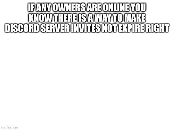 Blank White Template | IF ANY OWNERS ARE ONLINE YOU KNOW THERE IS A WAY TO MAKE DISCORD SERVER INVITES NOT EXPIRE RIGHT | image tagged in blank white template | made w/ Imgflip meme maker