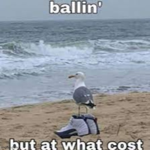 Ballin but at what cost | image tagged in ballin but at what cost | made w/ Imgflip meme maker