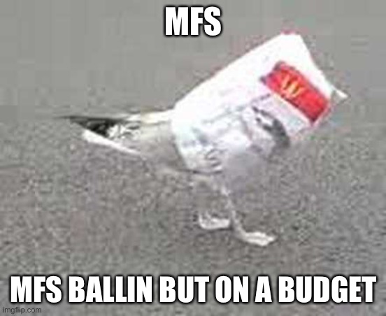 Ballin on a budget | MFS; MFS BALLIN BUT ON A BUDGET | image tagged in ballin on a budget | made w/ Imgflip meme maker