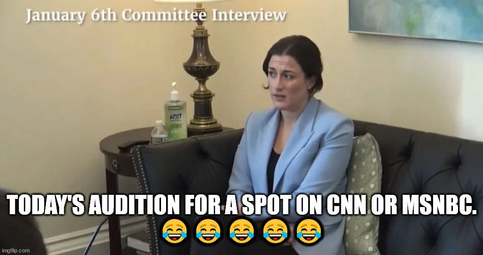 Pelosi needs a refund from her ABC drama producer... | TODAY'S AUDITION FOR A SPOT ON CNN OR MSNBC.
😂😂😂😂😂 | image tagged in kangaroo,trial | made w/ Imgflip meme maker
