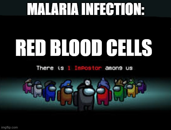 Malaria has sneak 100 unlocked | MALARIA INFECTION:; RED BLOOD CELLS | image tagged in there is 1 imposter among us | made w/ Imgflip meme maker