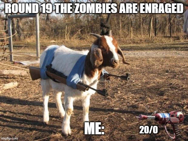 i used this in a meme | ROUND 19 THE ZOMBIES ARE ENRAGED ME: 20/0 | image tagged in call of duty goat | made w/ Imgflip meme maker