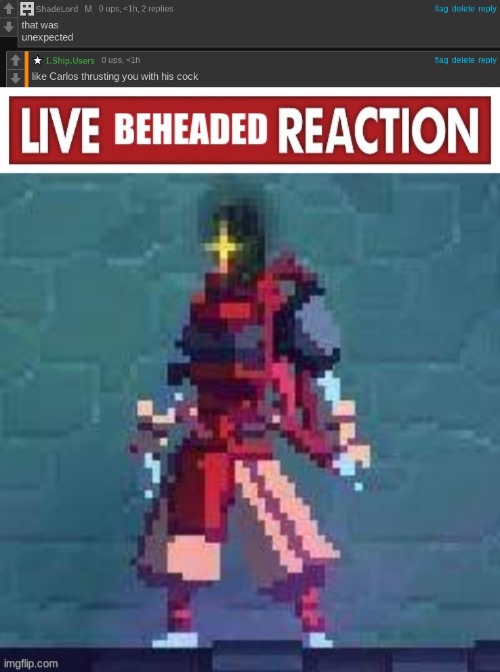 image tagged in live beheaded reaction | made w/ Imgflip meme maker