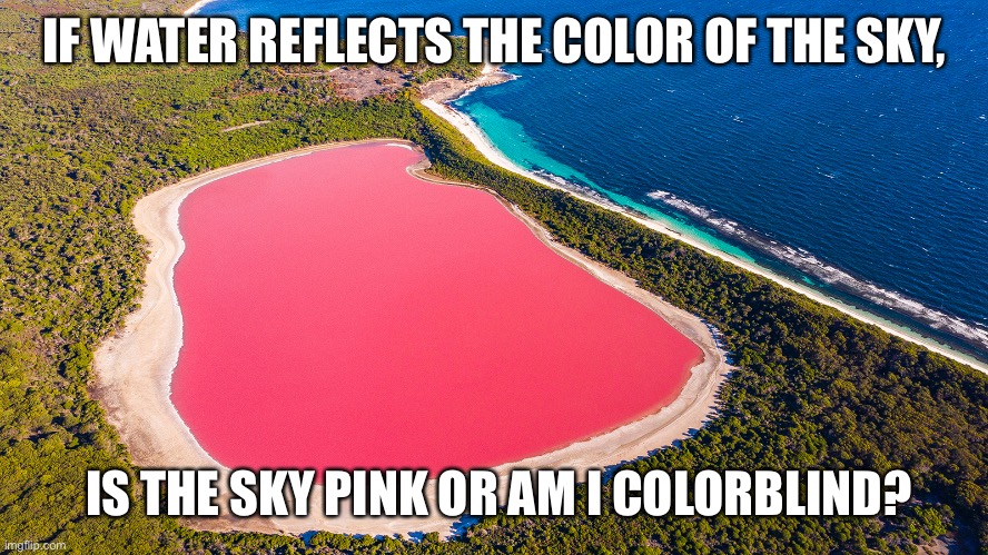 Something to ponder | IF WATER REFLECTS THE COLOR OF THE SKY, IS THE SKY PINK OR AM I COLORBLIND? | image tagged in change my mind,funny,popular,elmo,monkey puppet,confused | made w/ Imgflip meme maker