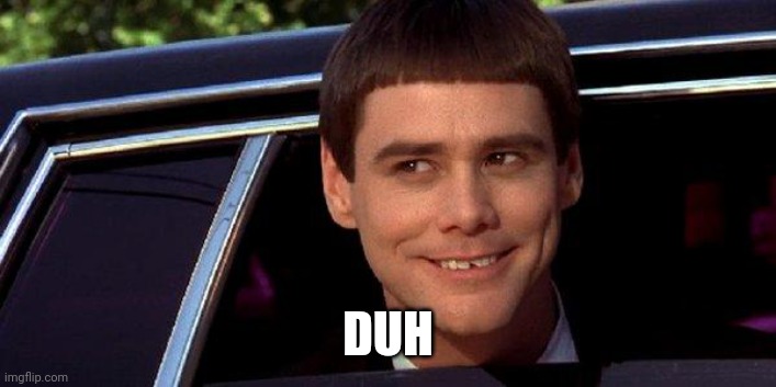 dumb and dumber | DUH | image tagged in dumb and dumber | made w/ Imgflip meme maker