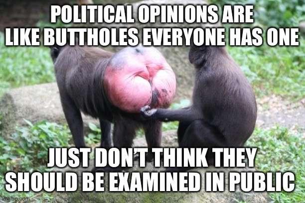 Butt hole | POLITICAL OPINIONS ARE LIKE BUTTHOLES EVERYONE HAS ONE; JUST DON’T THINK THEY SHOULD BE EXAMINED IN PUBLIC | image tagged in politicstoo,memes,funny,happy,biden | made w/ Imgflip meme maker