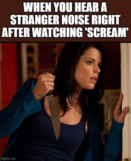 When You Hear Strange Noise After Watching 'Scream' | WHEN YOU HEAR A STRANGER NOISE RIGHT AFTER WATCHING 'SCREAM' | image tagged in scream,neve campbell,knife,strange noise,funny,memes | made w/ Imgflip meme maker