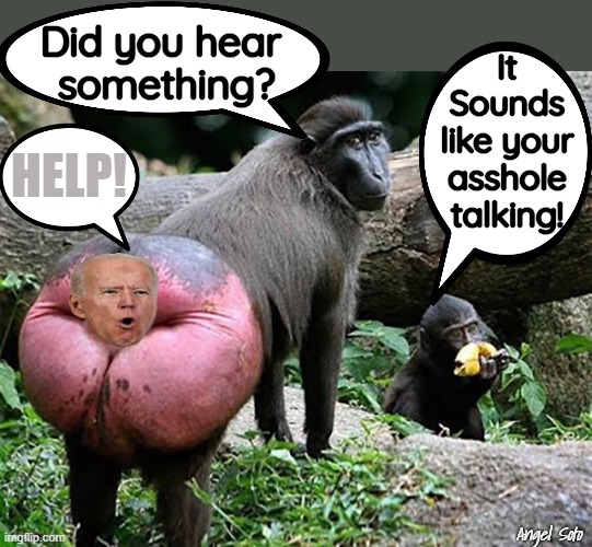 Biden baboon butt |  Did you hear 
something? It
Sounds
like your
asshole
talking! HELP! Angel Soto | image tagged in political humor,joe biden,butthole,asshole,help,baboon | made w/ Imgflip meme maker