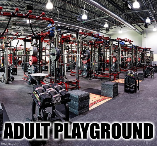 Adult Playground |  ADULT PLAYGROUND | image tagged in gym weightroom | made w/ Imgflip meme maker