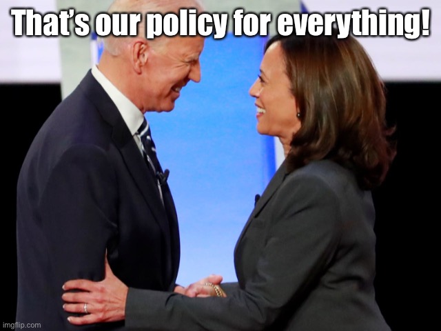 Biden Harris | That’s our policy for everything! | image tagged in biden harris | made w/ Imgflip meme maker