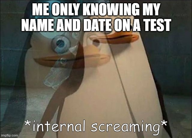 Private Internal Screaming | ME ONLY KNOWING MY NAME AND DATE ON A TEST | image tagged in private internal screaming | made w/ Imgflip meme maker