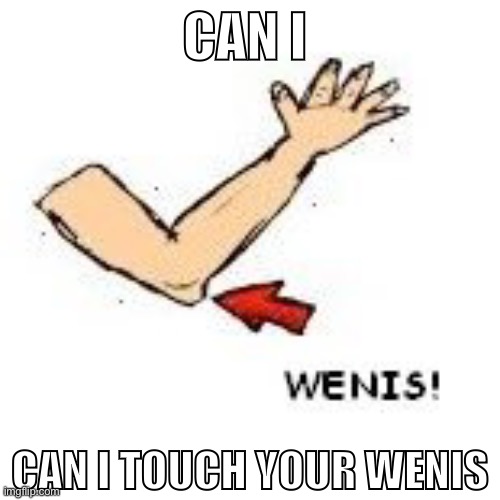 CAN I; CAN I TOUCH YOUR WENIS | made w/ Imgflip meme maker