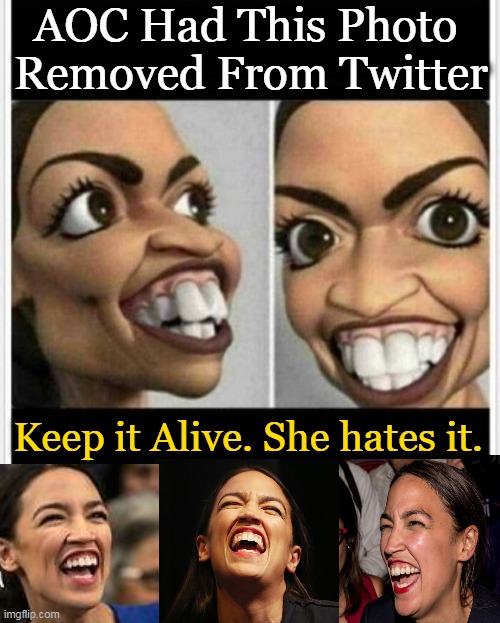 A O C stands for 'Absolutely Out of Control' |  AOC Had This Photo 
Removed From Twitter; Keep it Alive. She hates it. | image tagged in politics,triggered liberal,aoc,alexandria ocasio-cortez,liberalism,makes blondes appear smart | made w/ Imgflip meme maker