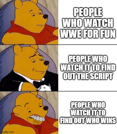 The big three of WWE | PEOPLE WHO WATCH WWE FOR FUN; PEOPLE WHO WATCH IT TO FIND OUT THE SCRIPT; PEOPLE WHO WATCH IT TO FIND OUT WHO WINS | image tagged in best better blurst,wwe | made w/ Imgflip meme maker