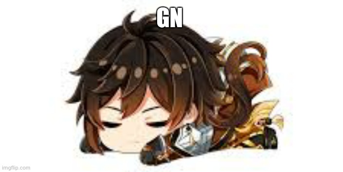 (Time zone) | GN | image tagged in good night | made w/ Imgflip meme maker