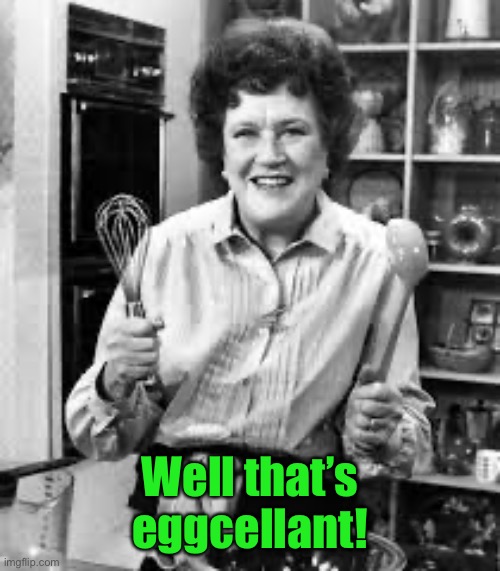 Julia Child | Well that’s eggcellant! | image tagged in julia child | made w/ Imgflip meme maker